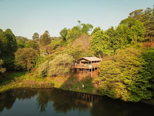 AfriCamps at Magoebaskloof