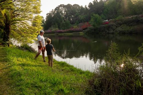 AfriCamps at Magoebaskloof