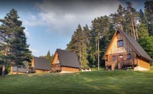 Image of Autocamping Podlesok