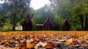 Image of Hollóstetői Mountain Camp