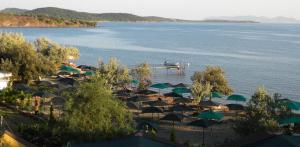Image of Ada camping