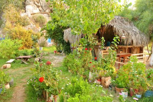 Andriake Camping & Glamping