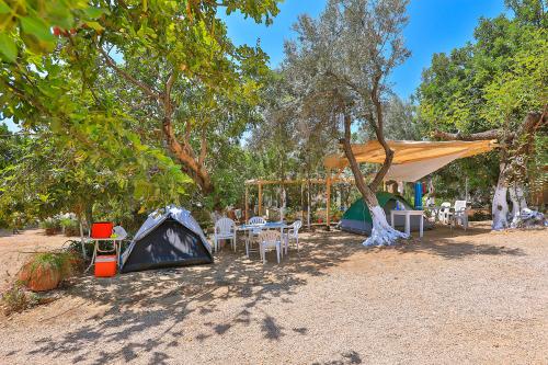 Olympos Mocamp