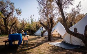 Camping Elizabeth