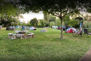Image of Tomaj Camping