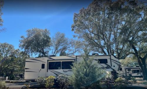 Campsited