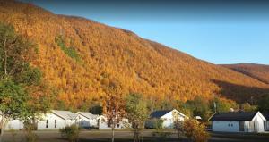 Image of Tromsø Lodge & Camping
