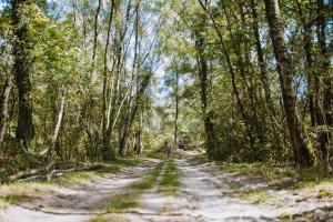Image of Wilsumer Berge