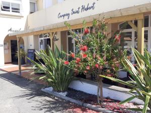 Image of Camping Les Flots de l'Océan