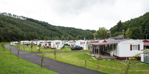 CAMPING FLOREAL
