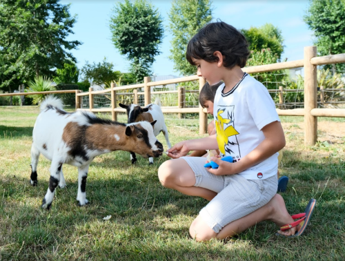Camping Seasonova Haliotis