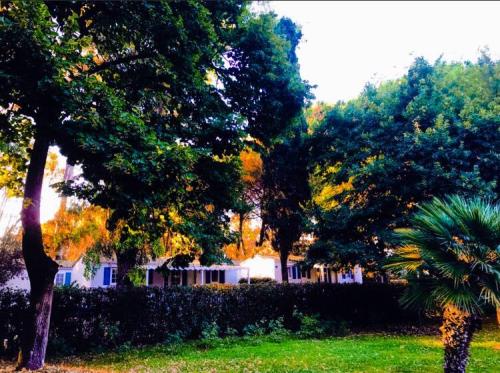 Baia Domizia Villaggio Camping