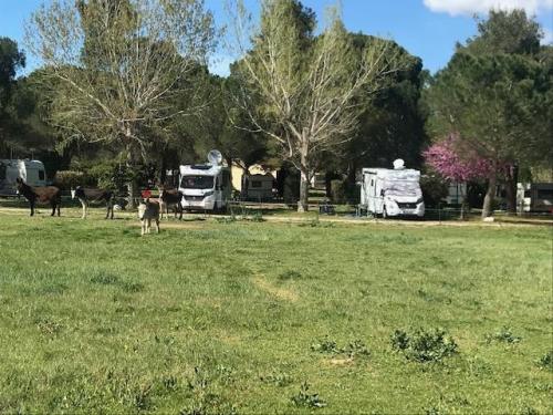 Camping Les Casteillets