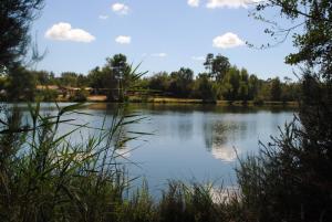 Image of  Camping Les Étangs Mina