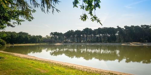 Camping Goolderheide