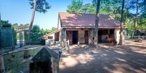 Camping Goolderheide