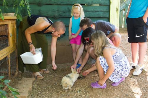 Camping les Monts d'Albi