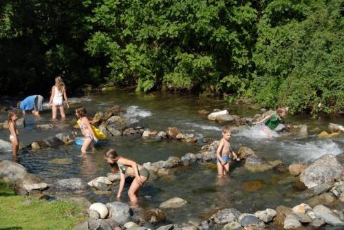 Flower Camping PYRENEES NATURA