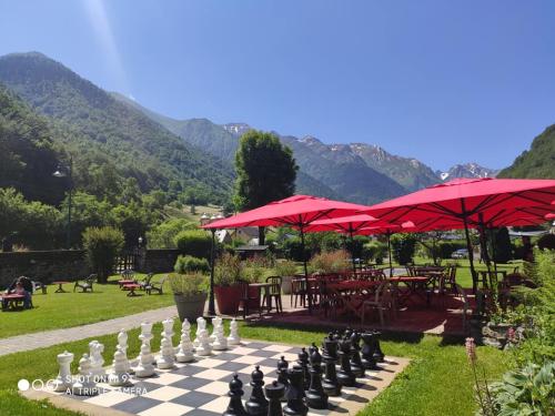 Flower Camping PYRENEES NATURA