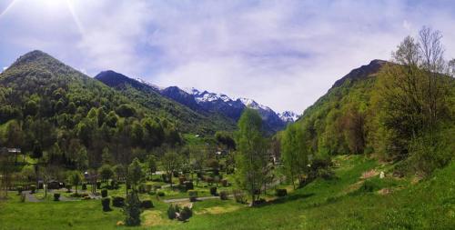 Flower Camping PYRENEES NATURA