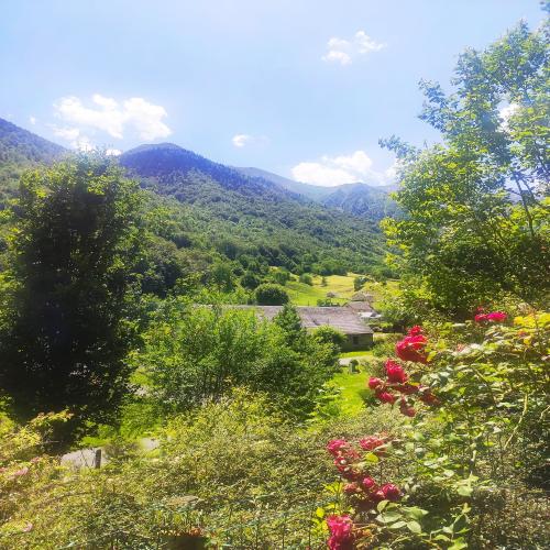Flower Camping PYRENEES NATURA