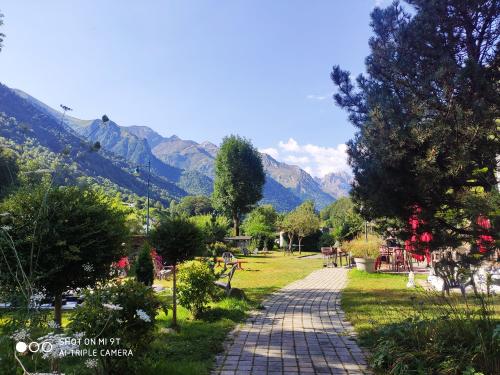 Flower Camping PYRENEES NATURA