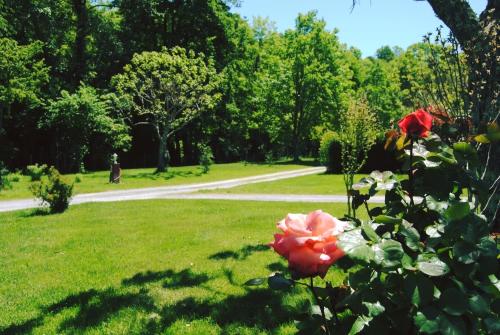 Camping LA BOURIE