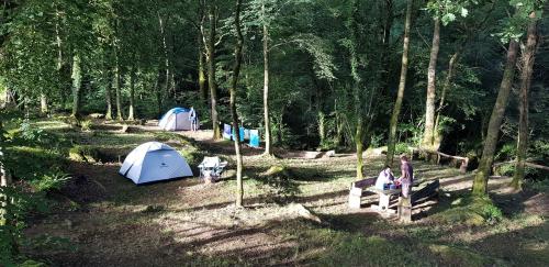 Camping La Forêt