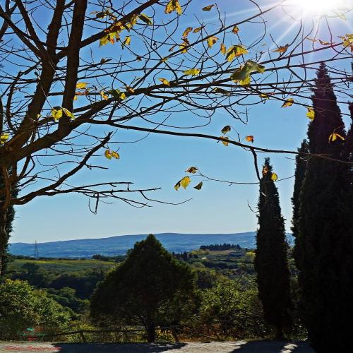 Camping Panorama del Chianti